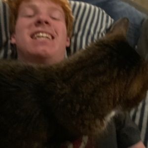 Meet your Posher, William